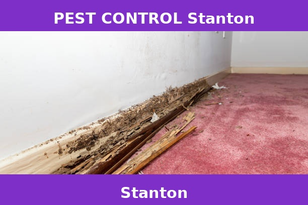 PEST CONTROL Stanton